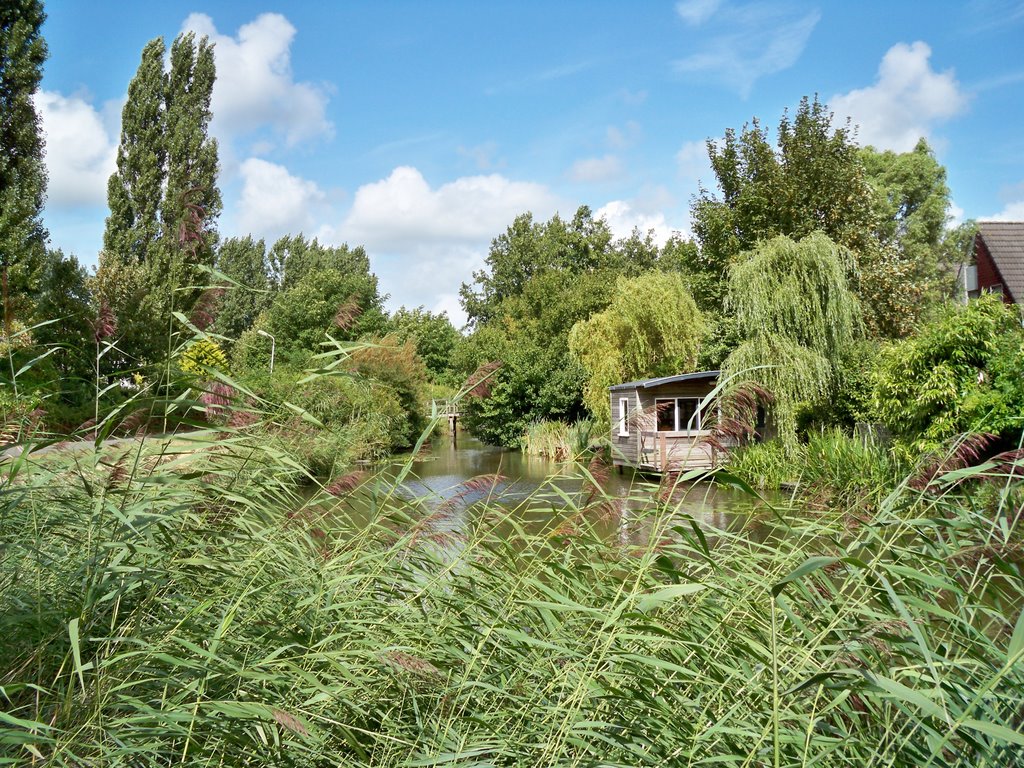 Sloot tussen Idzerdastins en Sassingastins by Milieuplatform.Leeuwarden