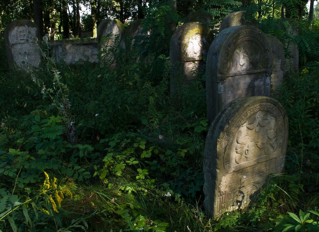 2009 08 30 Ożarów Jewish cemetery (Hebr. בית עלמין "Beth Olamin", Pol. kirkut) by Rumpelstiltskin