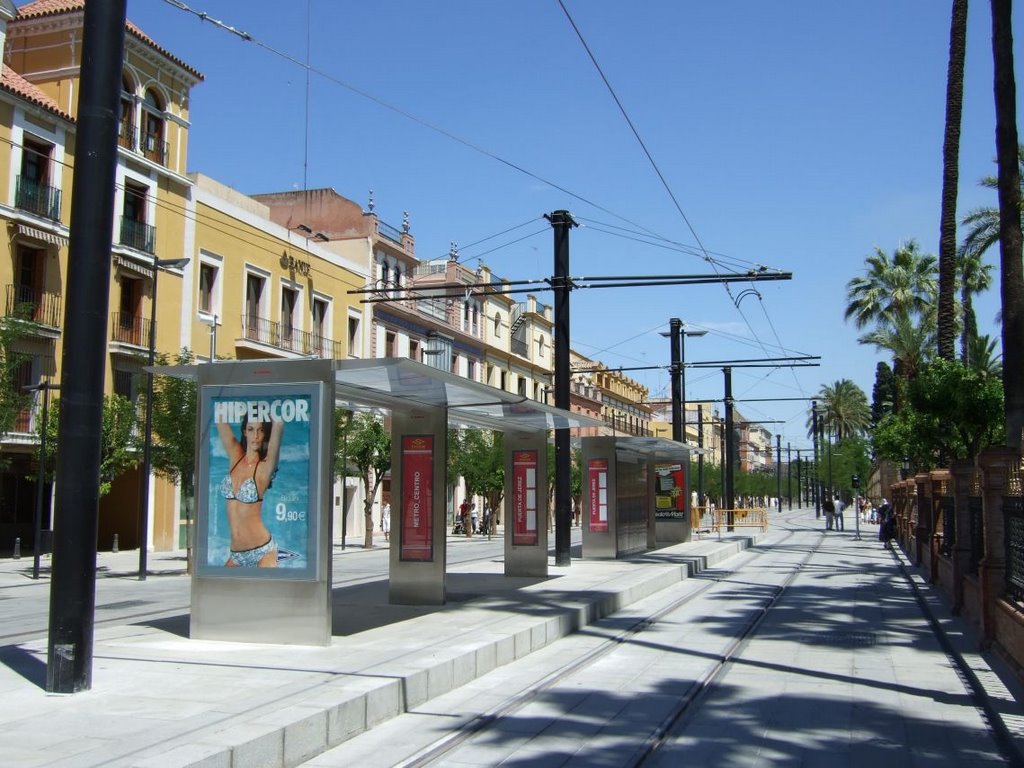 Calle San Fernando. Sevilla by Roberto Abizanda San…