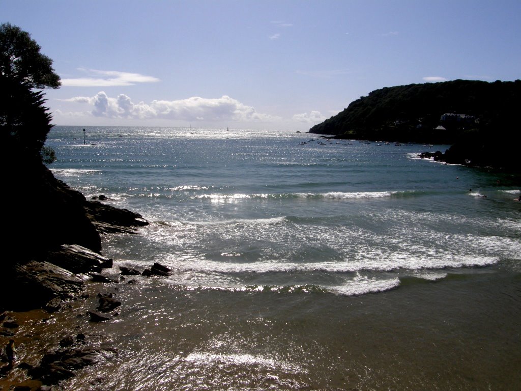 Beach near Salcombe (southern sands) by ginilina