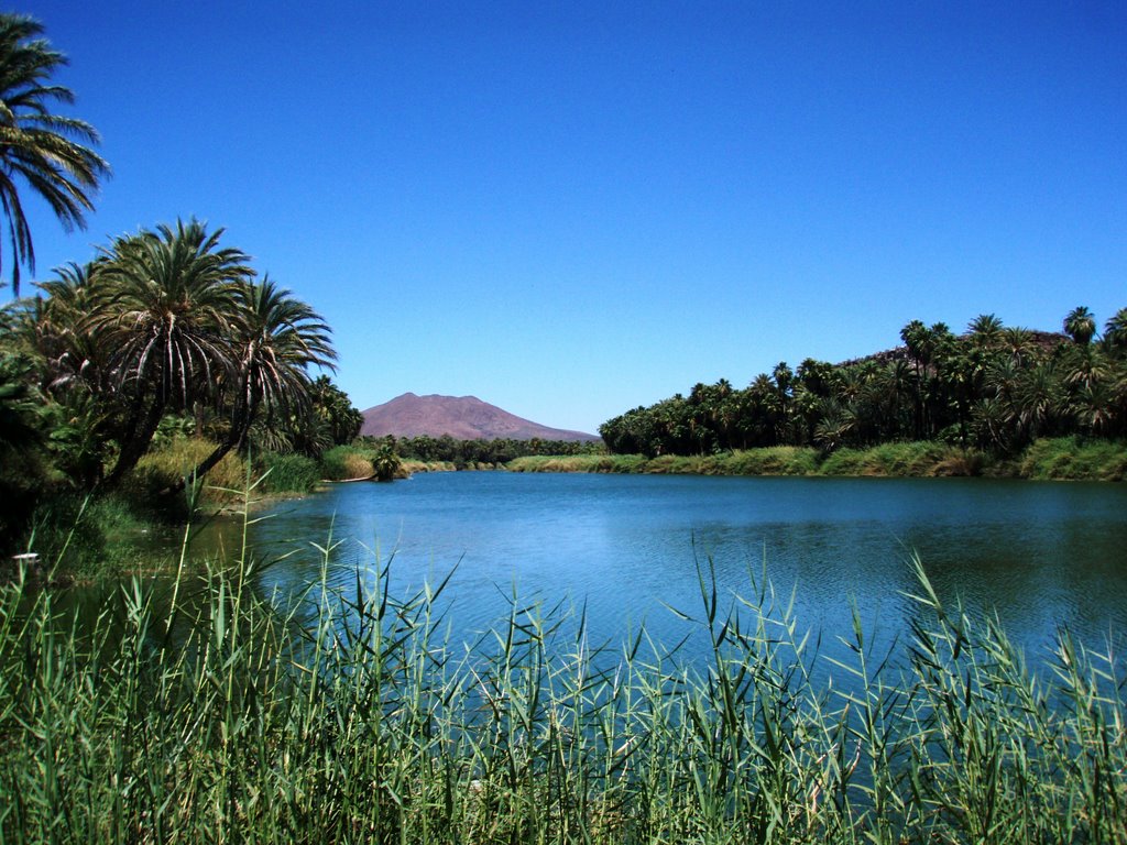 Laguna de San Ignacio by alex.singan