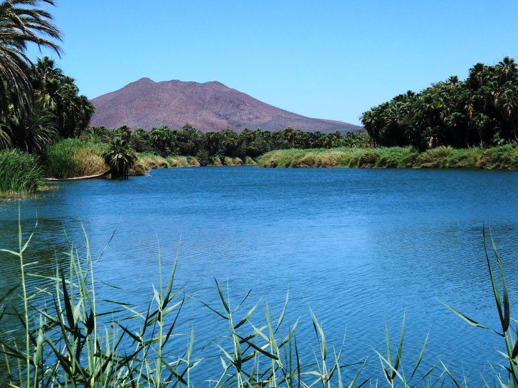 San Ignacio Lagoon by alex.singan