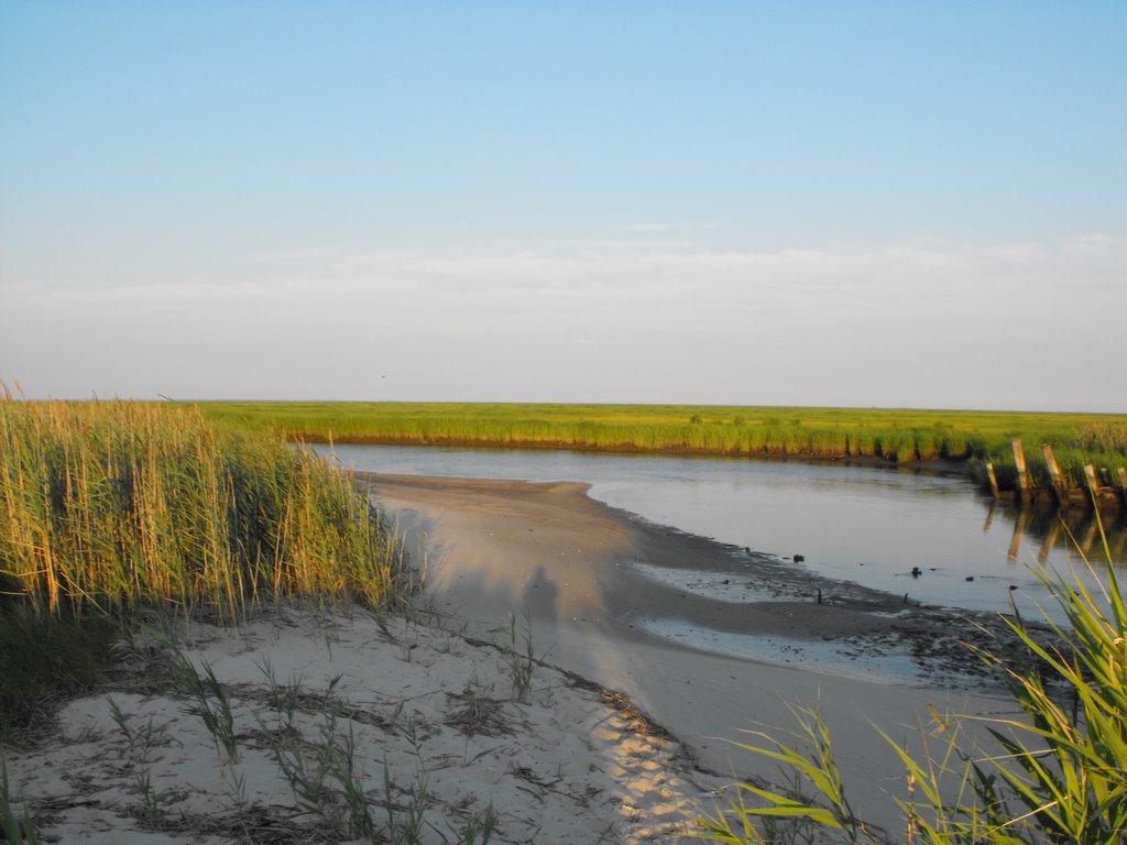 The marsh at the end of the beach in Fortescue by Aaron Maffei