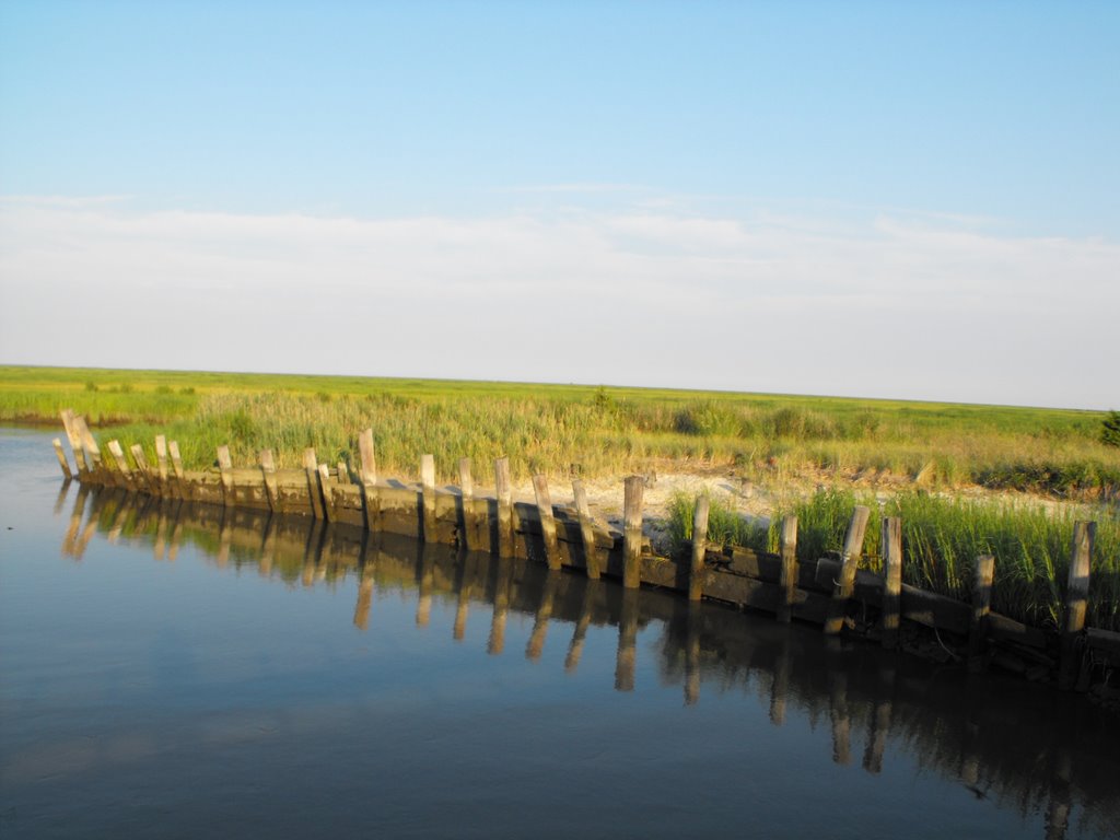 Old pilings, view from the bridge by Aaron Maffei