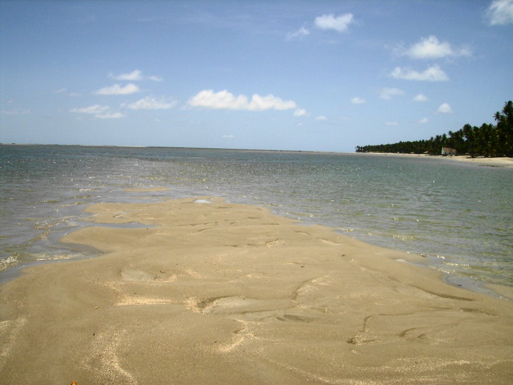 Low tide - Arikindá River - near Carneiros Beach by aelontra