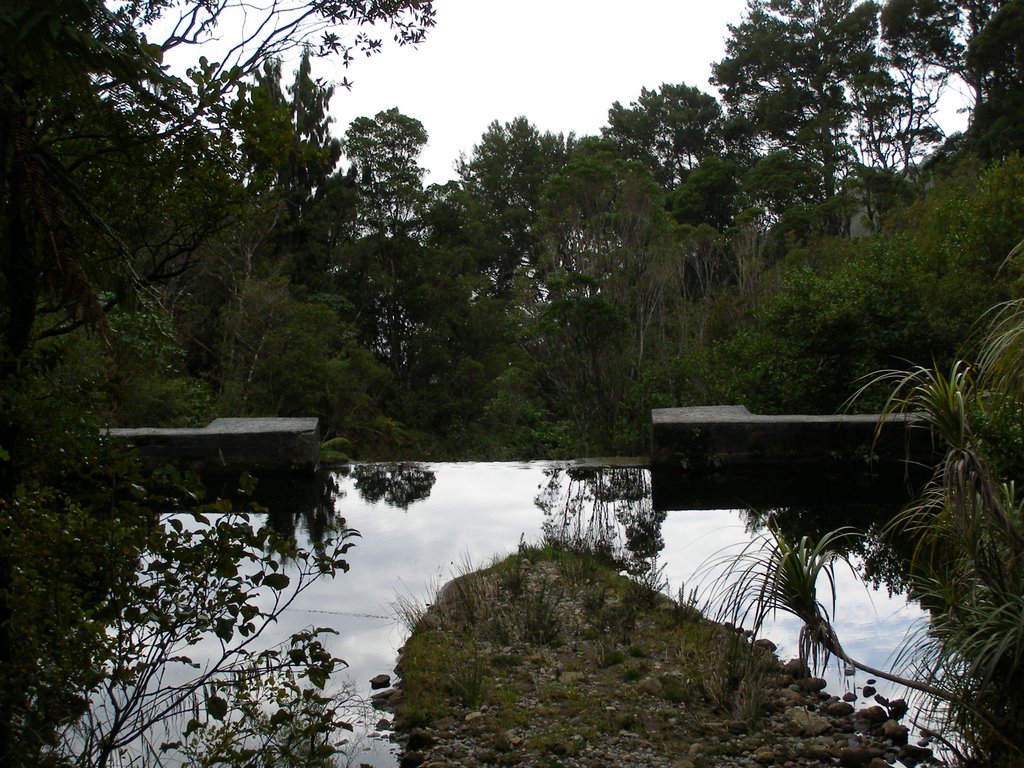 Old dam millerton westcoast NZ by jonitsu