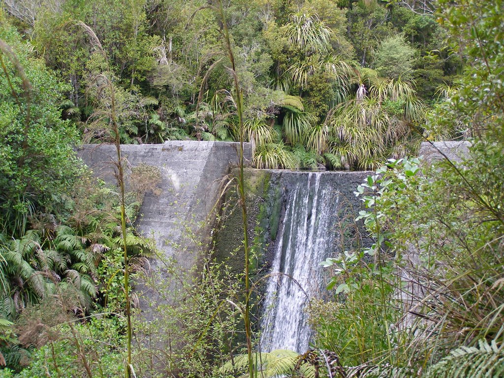 Old dam at millerton incline westcoast NZ by jonitsu