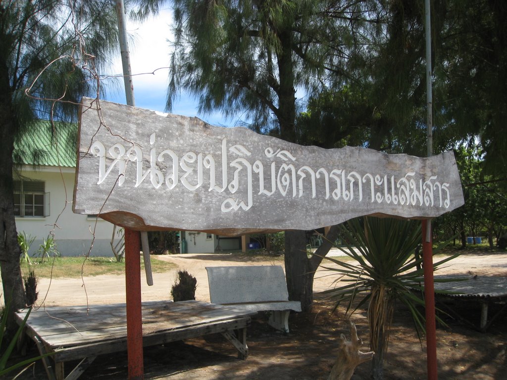 Royal Thai Seals @ Island Samaesan by videomaster