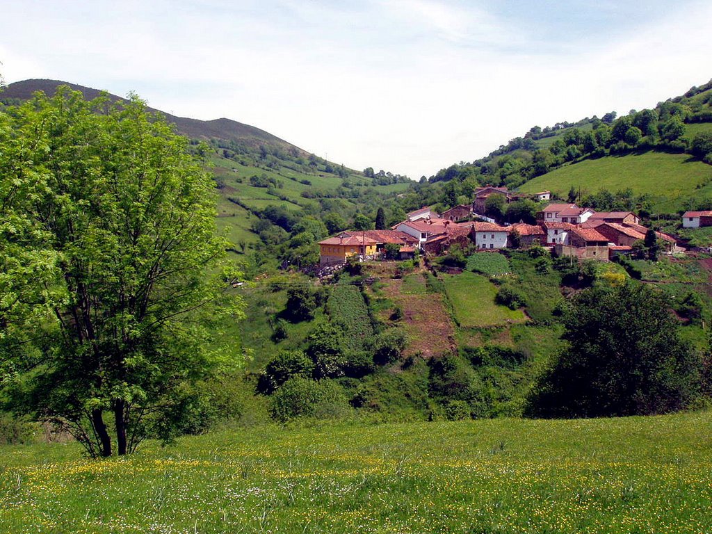 Pedroveya, Quiros, Asturias by Antonio Alba