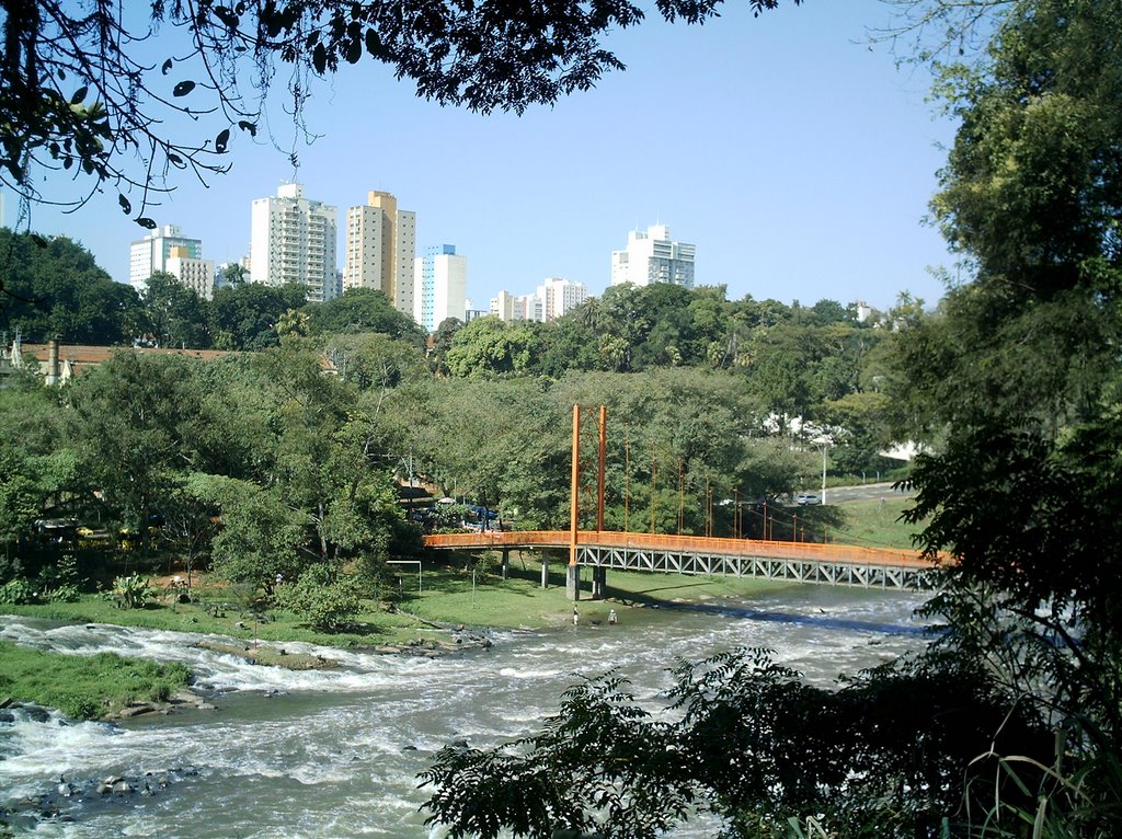 Ponte Pênsil sobre o rio Piracicaba by Eduardo Mezzonato