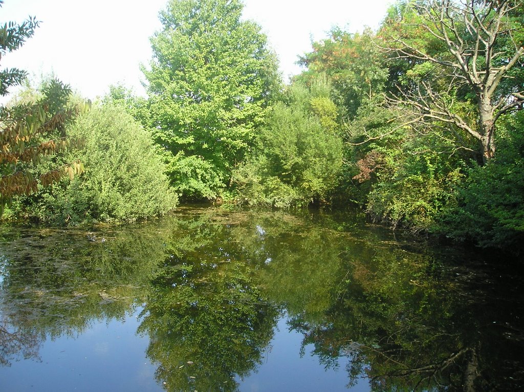 Ein kleiner versteckter Teich by Der weiße Wolf