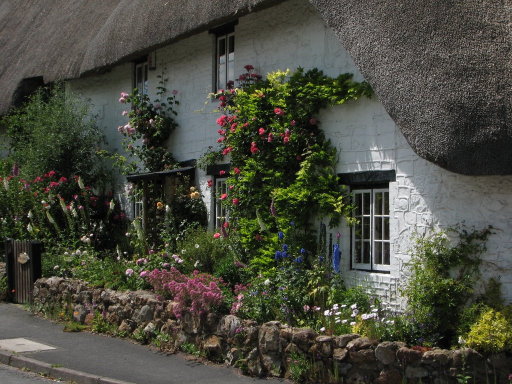 Cottage garden by Phil Bunce