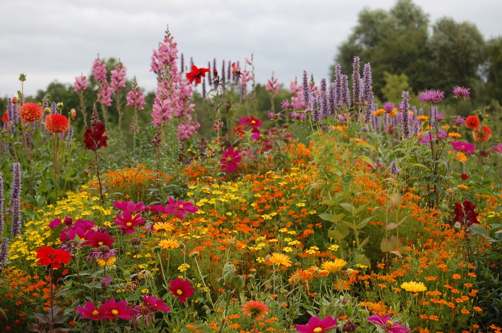 Ein Blumen Hügel - A hill of flowers by Lecleire Jacques