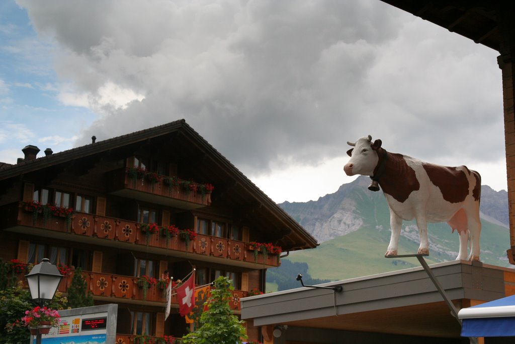 Adelboden by desros