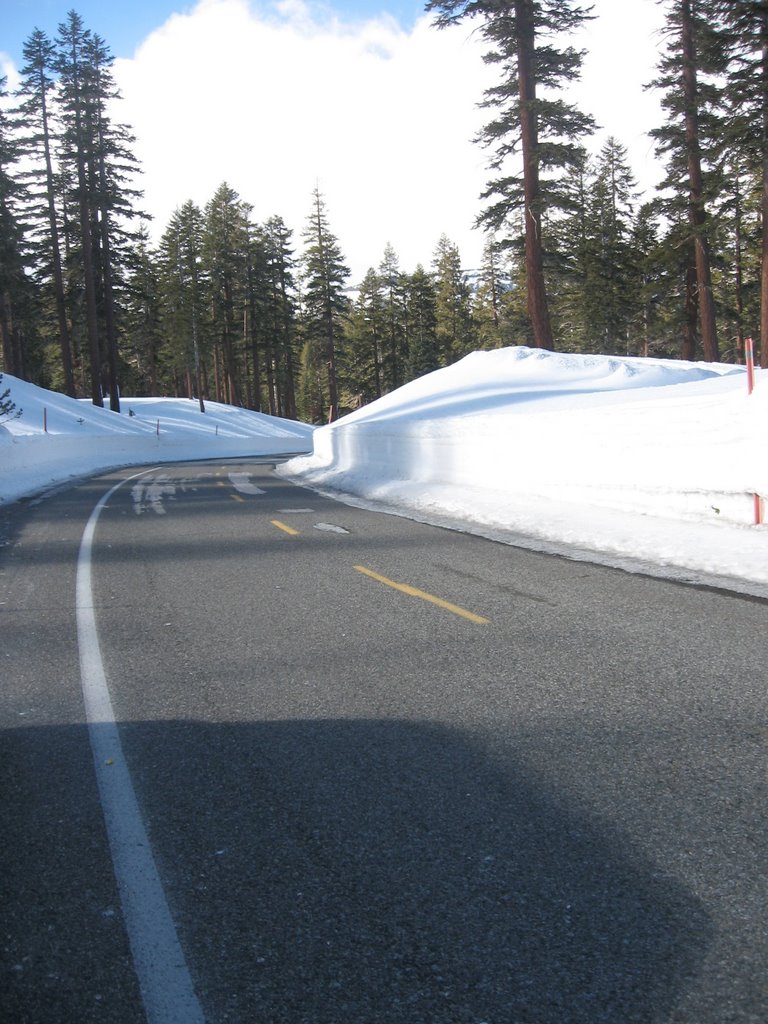 Road in winter, Mammoth by Relyt22