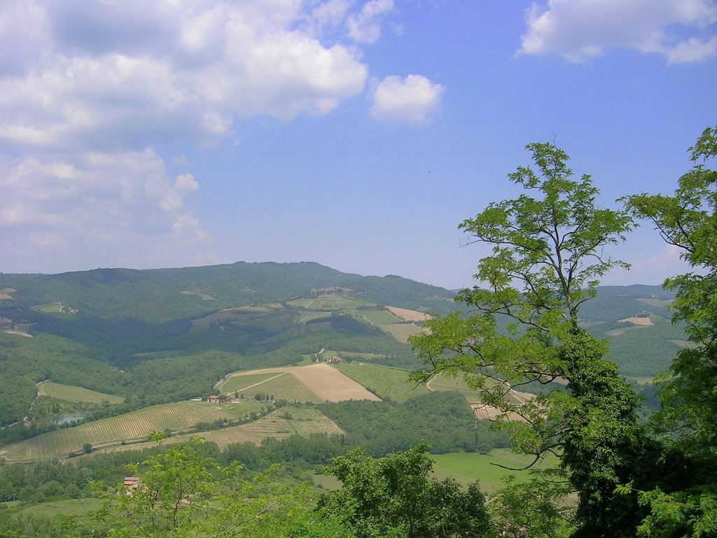 Vue de la campagne de Radda in Chianti (Toscane, Italie) by Dan Duquette