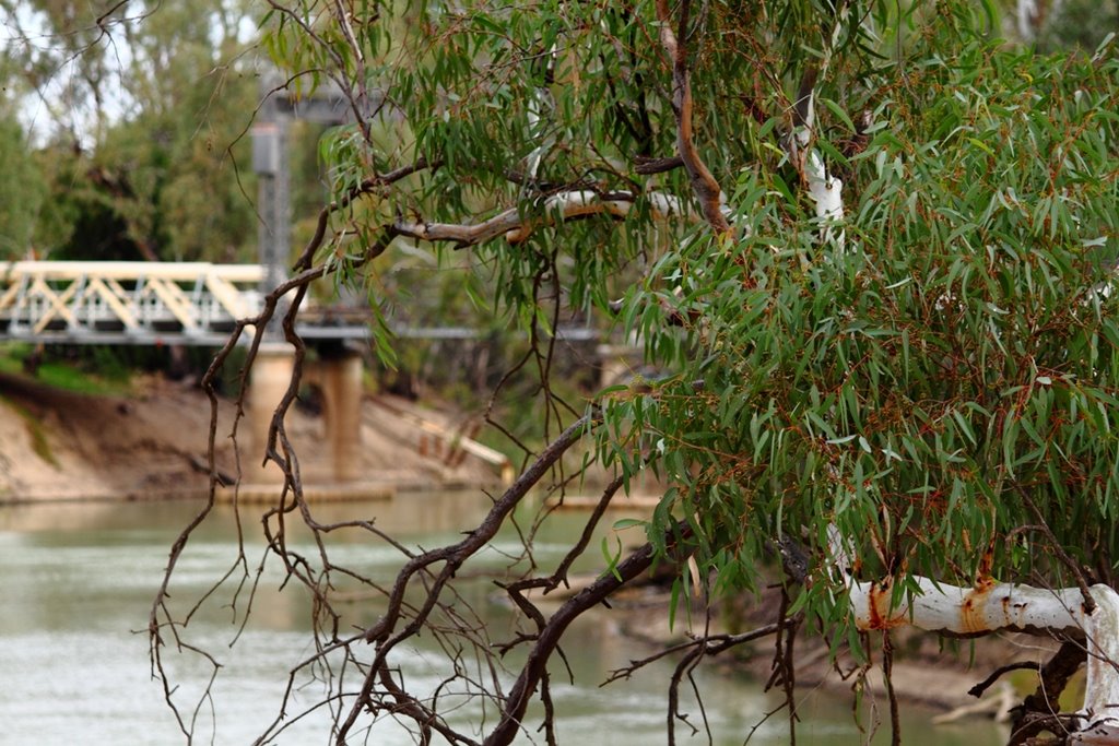 Tooleybuc Bridge by Whroo70