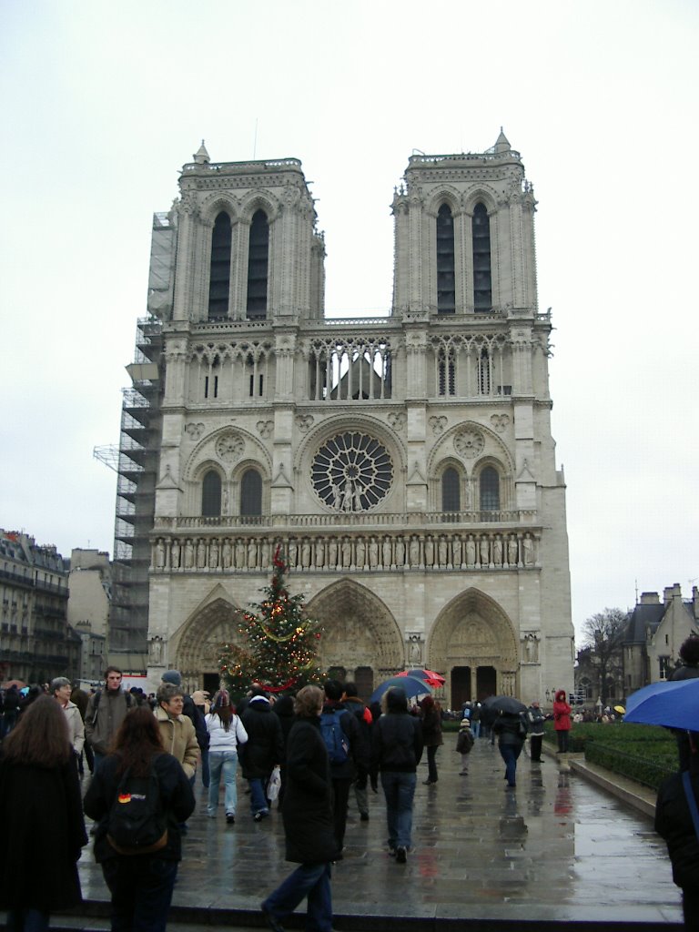 Notre Dame, Paris, France by Matt Armanino