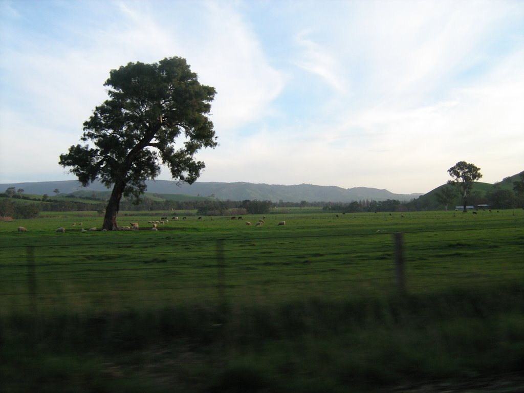 Fields near Merton Vic by Jason Boyd