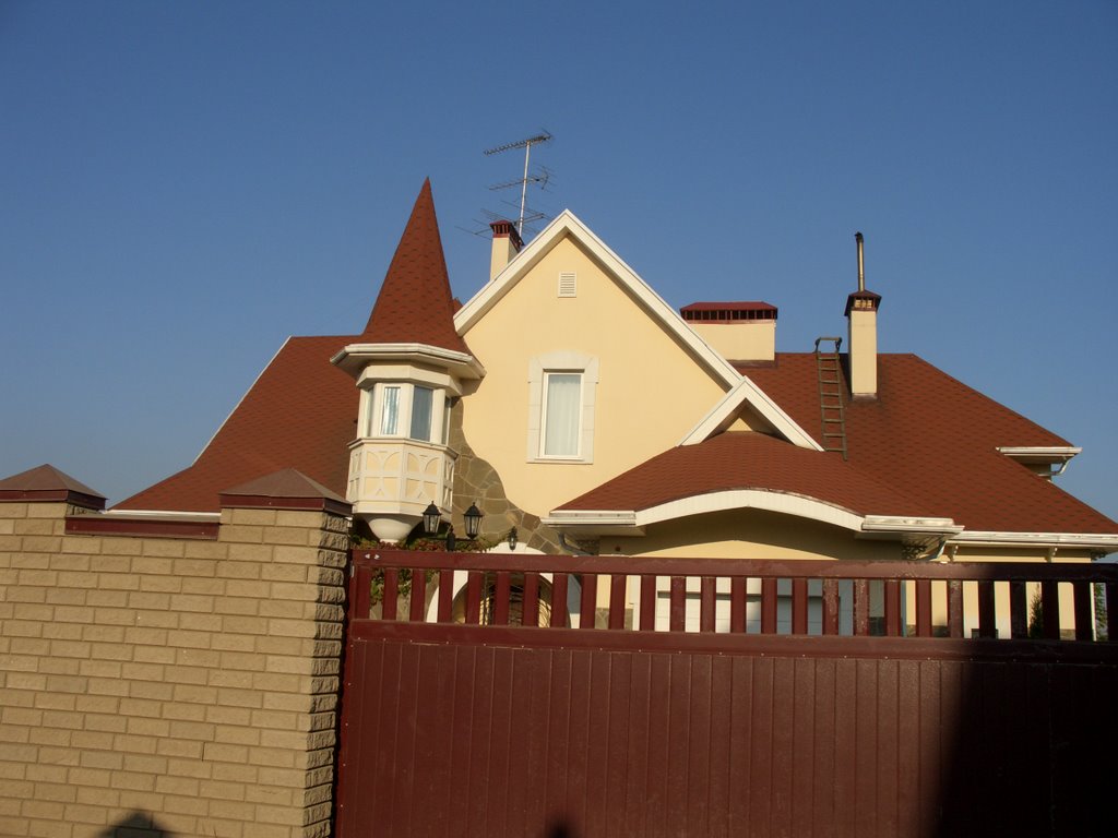 Дом в Язово / Family house in Yazovo by Luttow