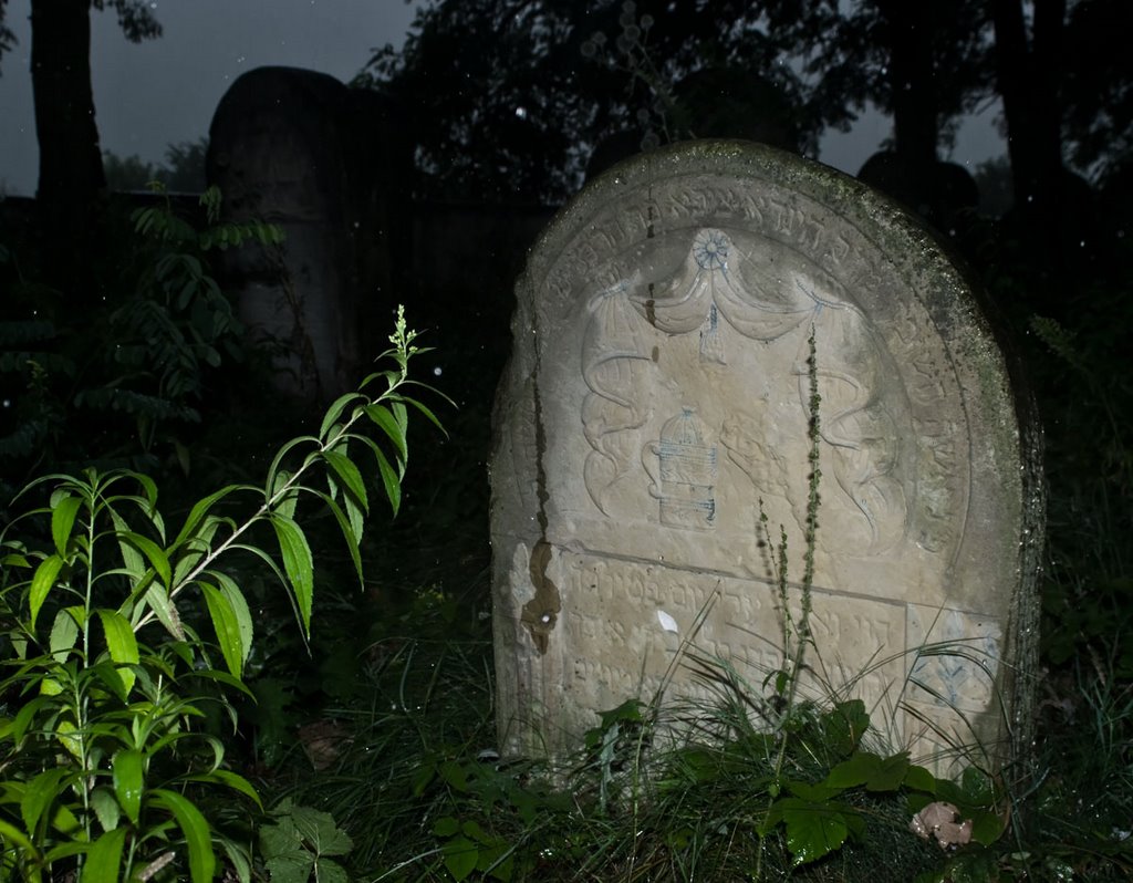 2009 08 29 Ożarów Jewish cemetery (Hebr. בית עלמין "Beth Olamin", Pol. kirkut) by Rumpelstiltskin