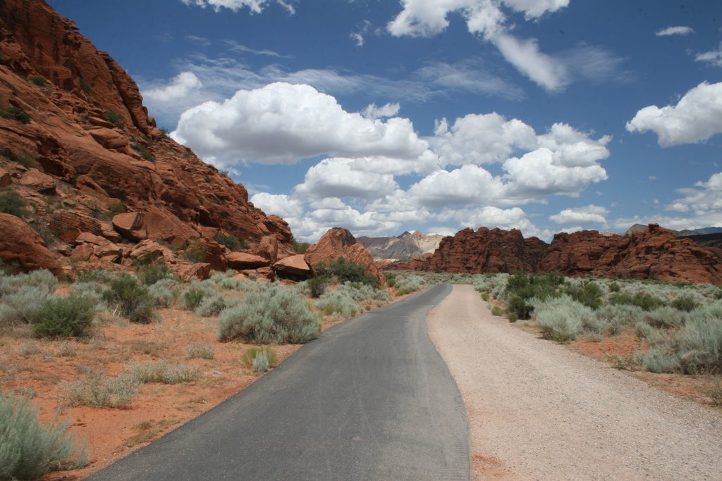 Snow Canyon, UT by casky58