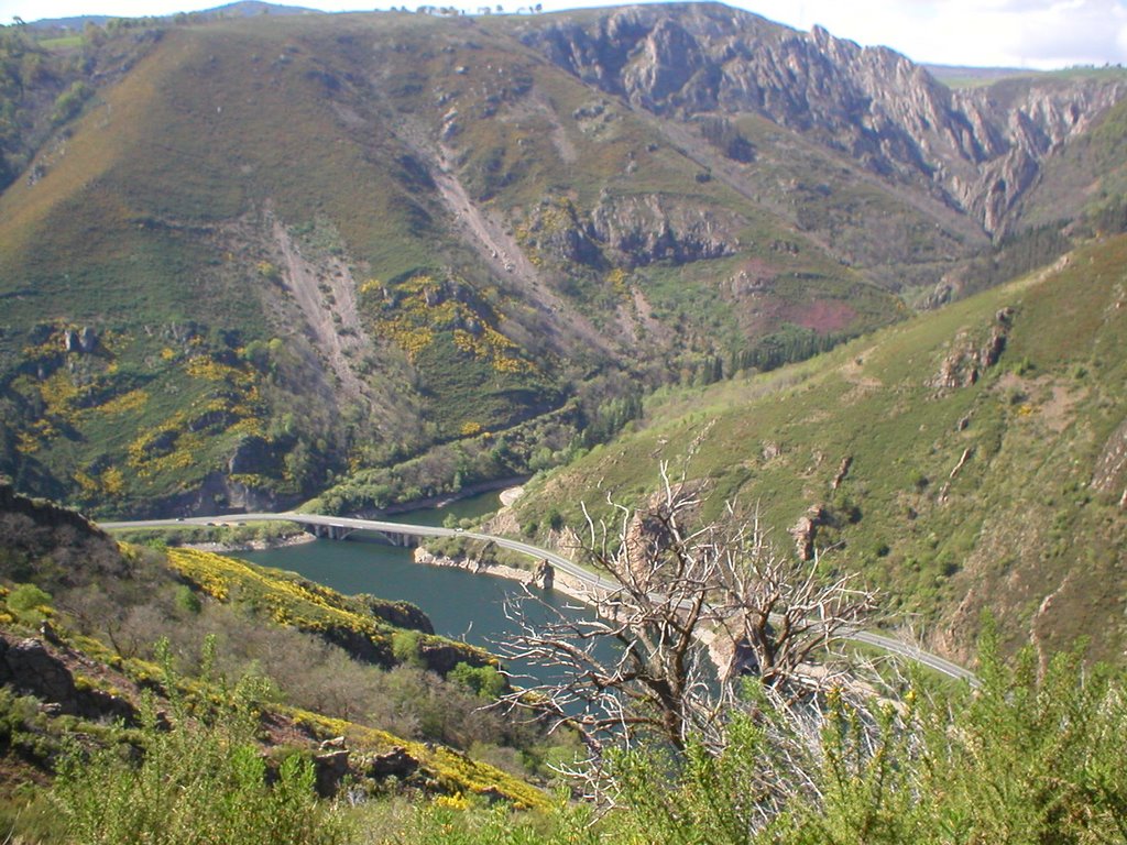 Embalse Soto la Barca by pentanes