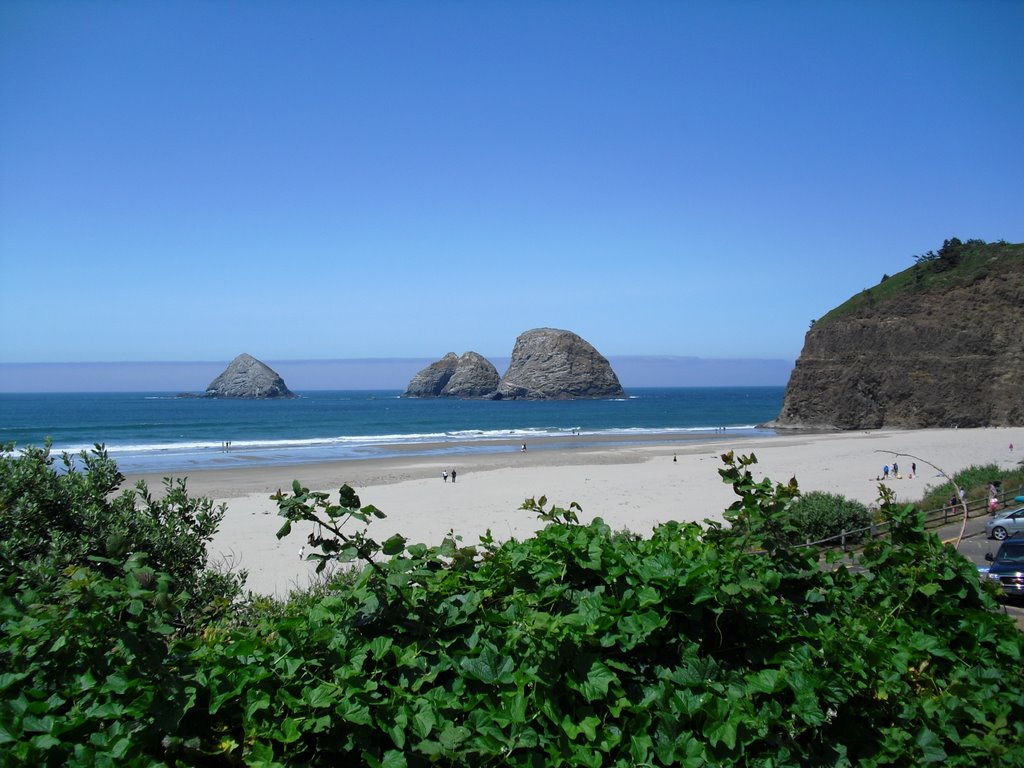 Oregon Coast VI by rolandrumpff