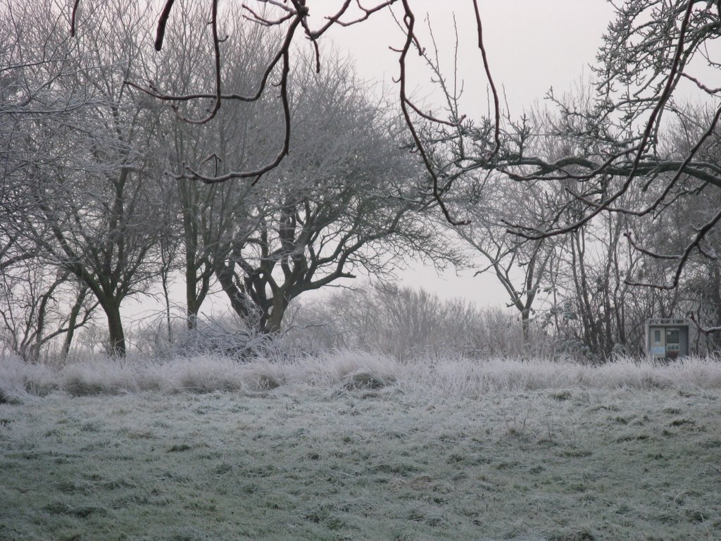 Winter - Tågerup, Lolland, Denmark by Jan Sognnes