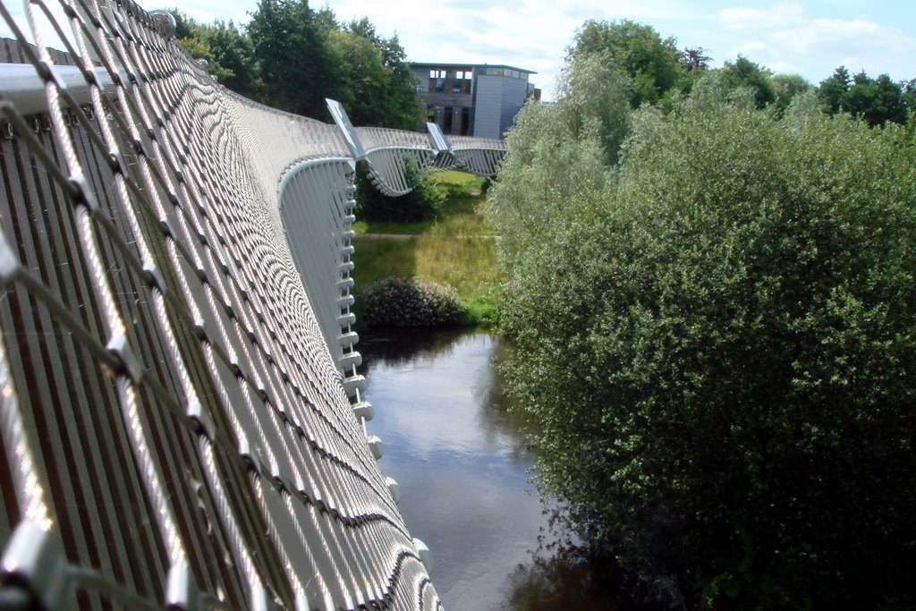 Footbridge on the Shannon River. UL by fchoza