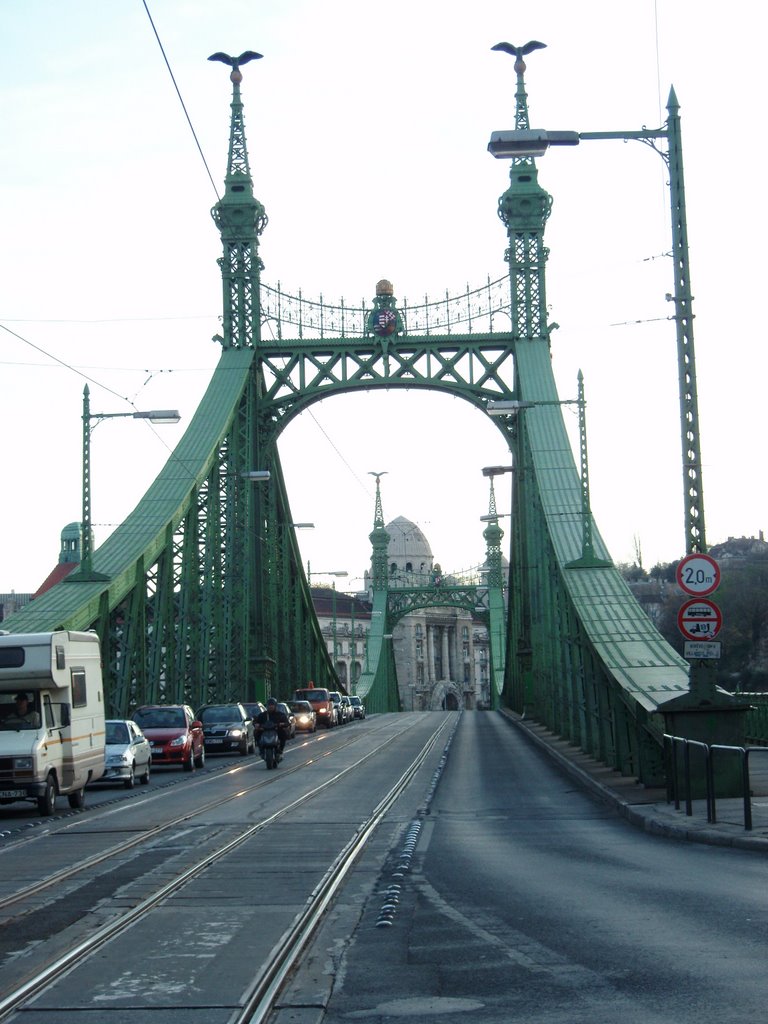 Puente de la Libertad by antoniodomingo