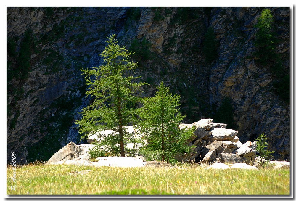 Le Ribon, Bessans, Haute Maurienne, Savoie, France. by © P. Amet