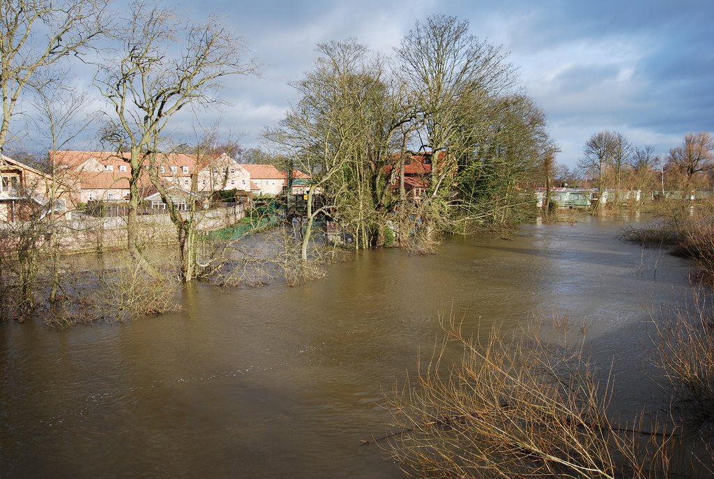 Stamford Bridge Flood January 2008 by daneswell