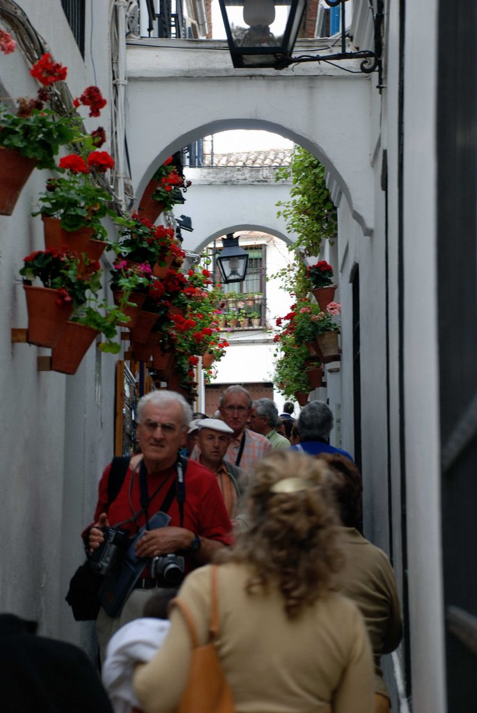 Córdoba, Cerca de la Mezquita, Calle de las Flores by macacla.pro