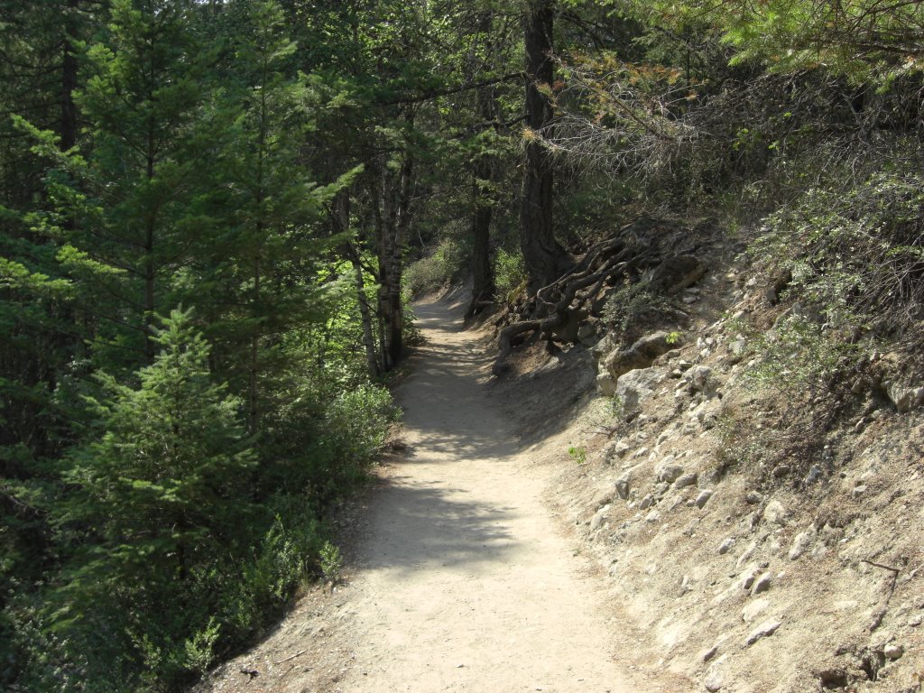 Trail at Nairn Falls, near Whistler, British Columbia, Canada by Spellweaver