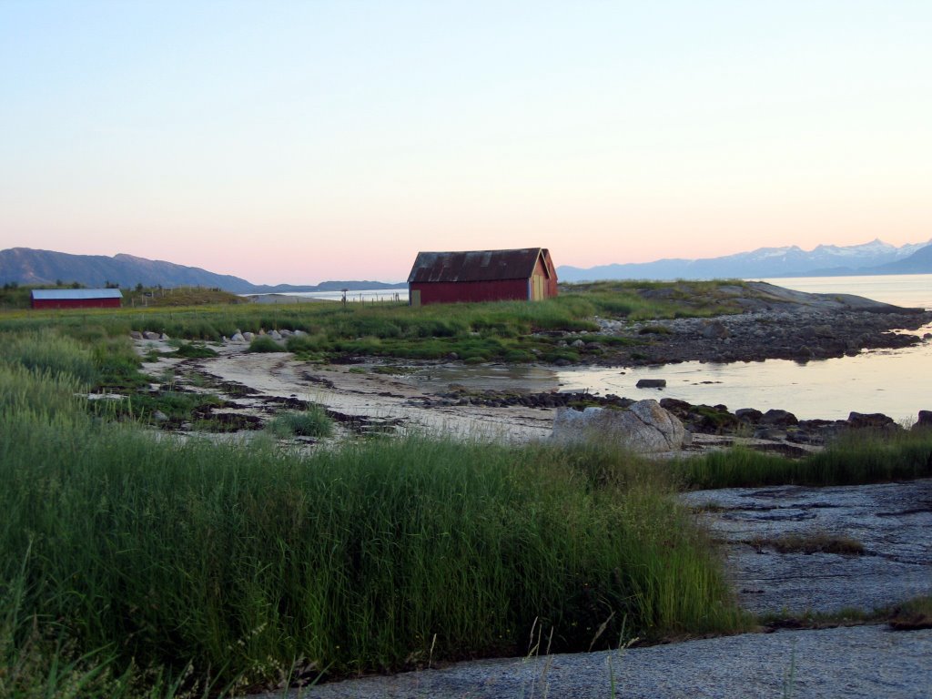 From Skarstad in Efjord by saxifraga