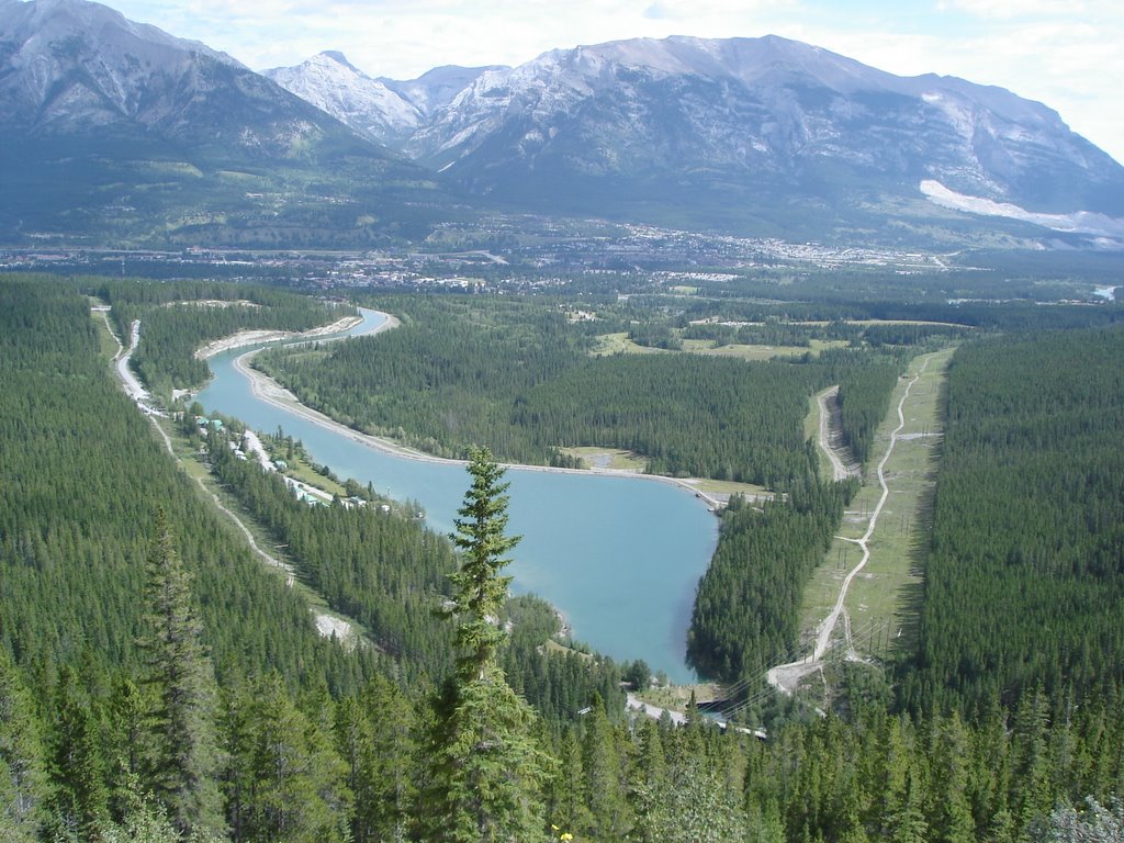 Nice view over Canmore (Avalanche area)! by Tony Sterl