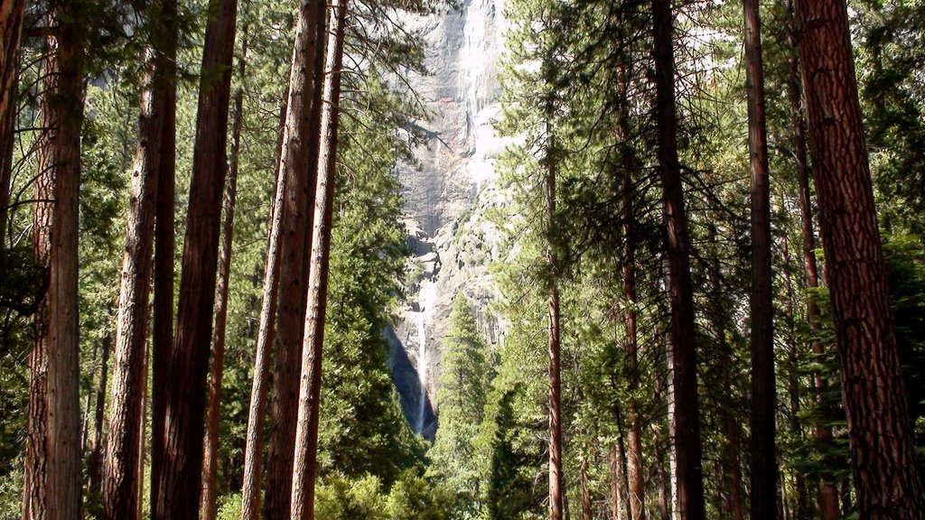 Yosemite, Calaifornia by Christian31