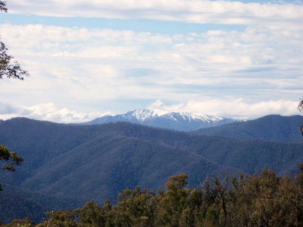 Mt Buller from near Mt Skene by Goldnbrownman