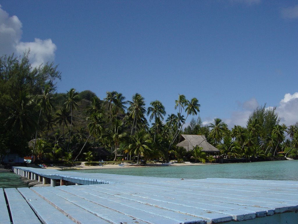 Les Tipaniers - Moorea by Dominique Marmy