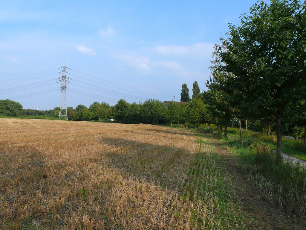 Kirschbaumweg - Heissener Strasse / Richtung Frohnhauser Weg by Cityfotograph