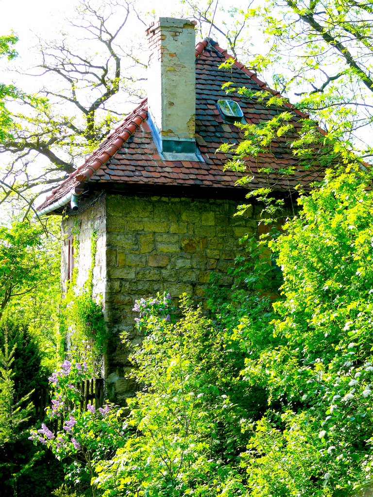 Kranichfeld Niederburg - Nebengebäude im Park by ingerl-a