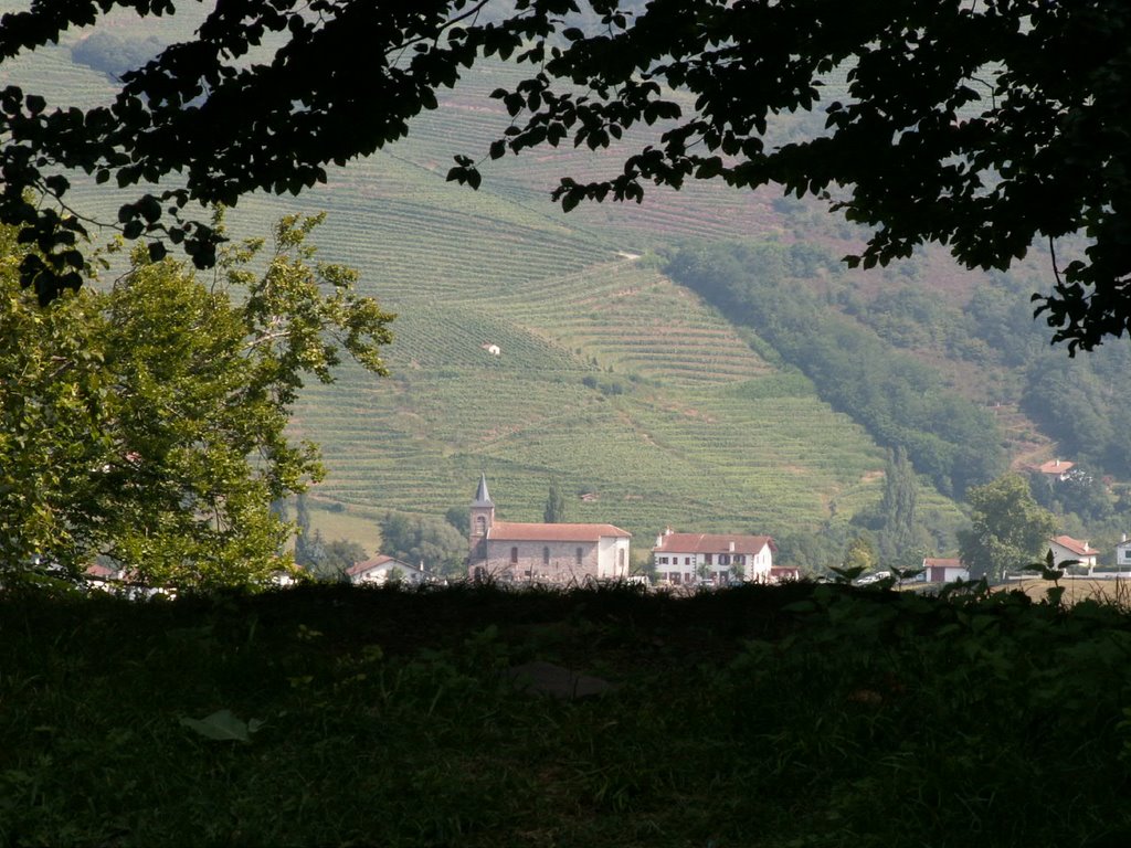 Je me serais posé là. by pyrenees