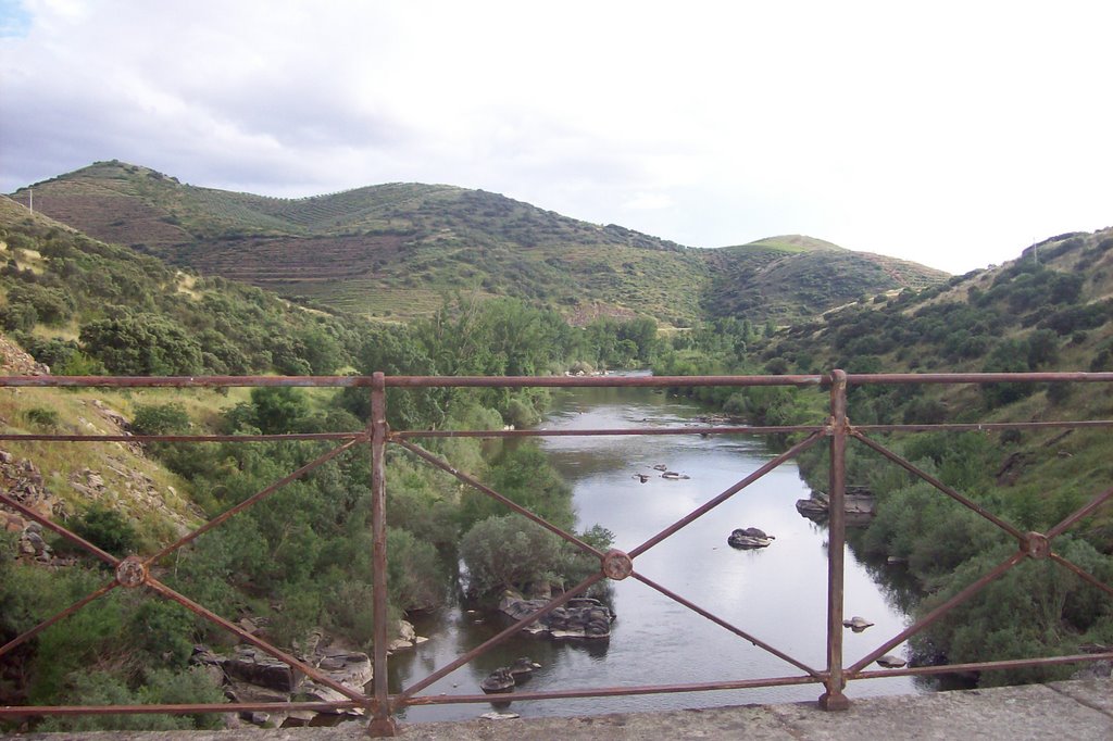 Ponte Rio Sabor by vlin