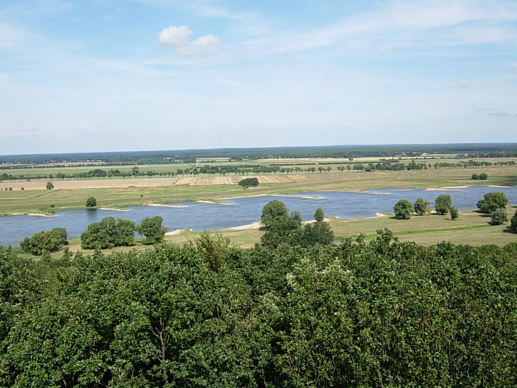 Elbe beim Höhbeck by dennis1971