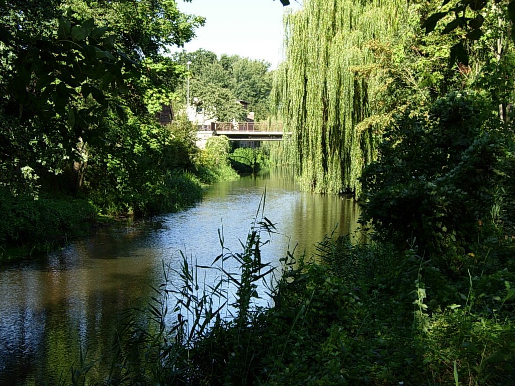 Alte Jeetzel in Dannenberg (2) by dennis1971