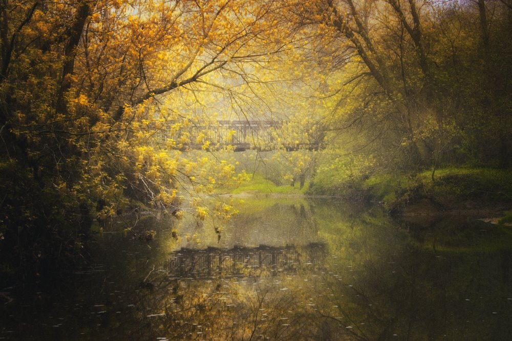 Van Raalte Park by bomasom