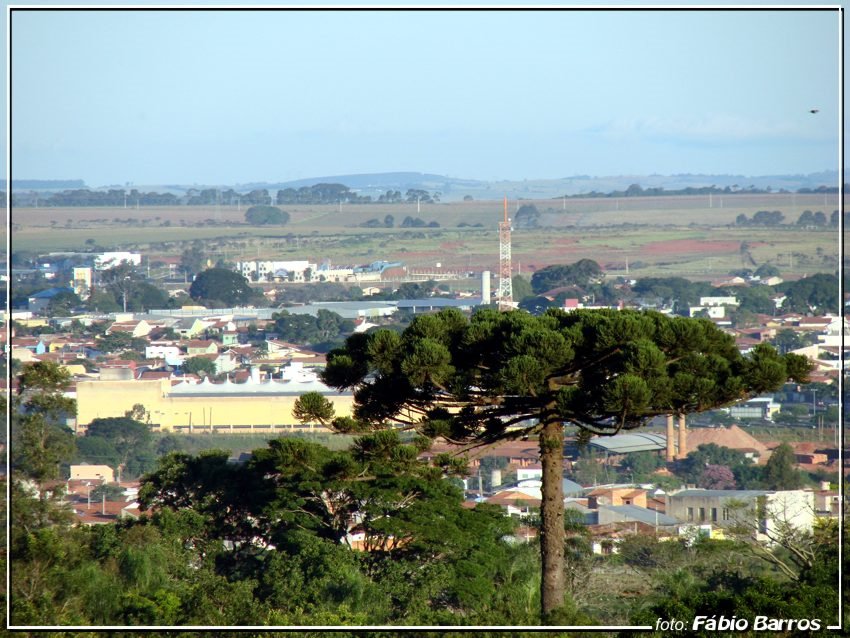 Araucária e Itapetininga - Foto: Fábio Barros (45 mil fotos de Itapê) (www.cidade3d.uniblog.com.br) by Maquete Fábio  Barro…