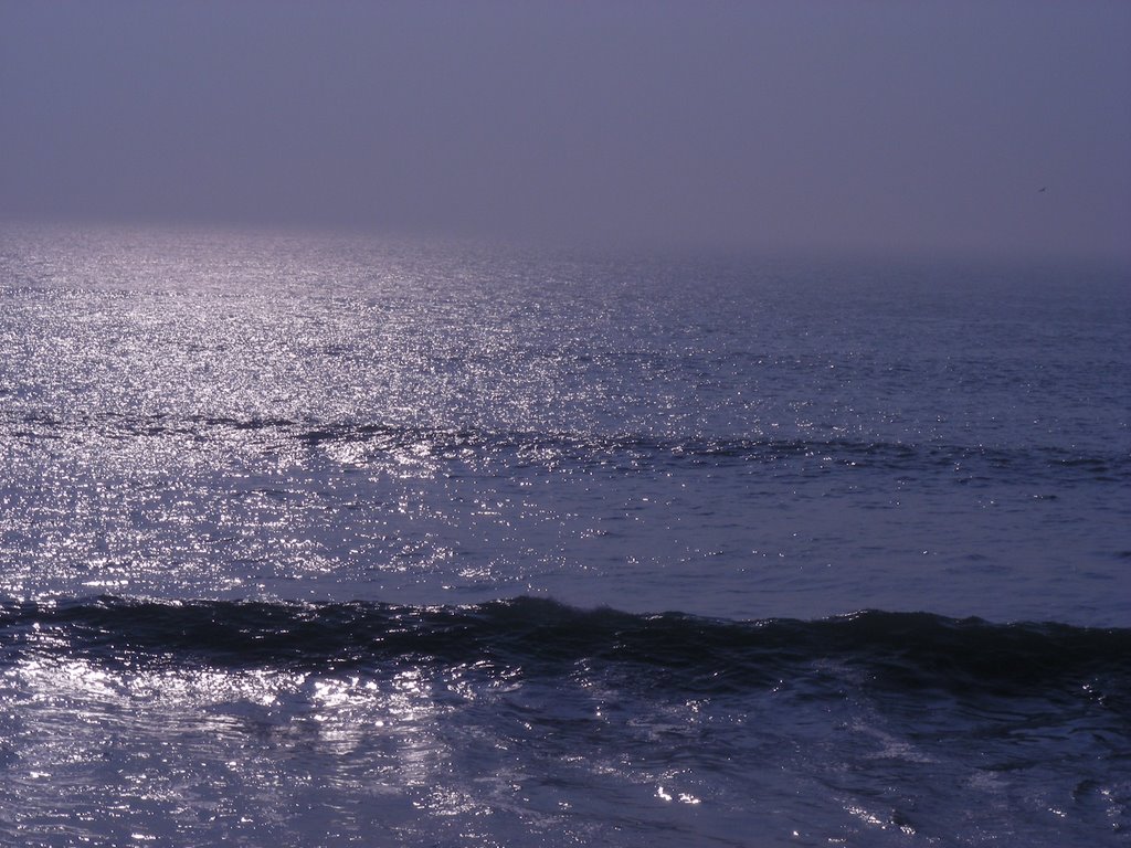 Woolacombe Surf by thirdunit