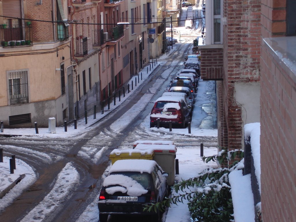 Calle Cactus, Madrid by Maria Elena Laprea